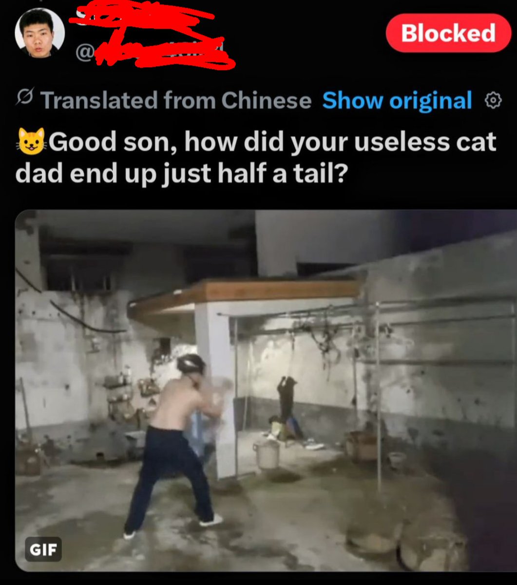 PhaedraXTeddy's tweet photo. Instead of praying for their idol,
Chinese🇨🇳🇨🇳🇨🇳 fans of animal abuser Xu Zhihui (who is allegedly in the hospital after a woman allegedly tried to stop him killing kittens for online content), his fans 
are currently even infecting x with their cringey illegal posts of themselves abusing animals and promoting animal cruelty and harassing normal people. This harassment  is terroristic behavior by the Chinese. 
#BoycottChina for the animals! 
#StopAnimalCrueltyInChina 🇨🇳 
#XiVisit should include requirement to #StopAnimalCrueltyInChina 🇨🇳.
China has not one law against animal cruelty.
https://t.co/JyWx9ZeN58
