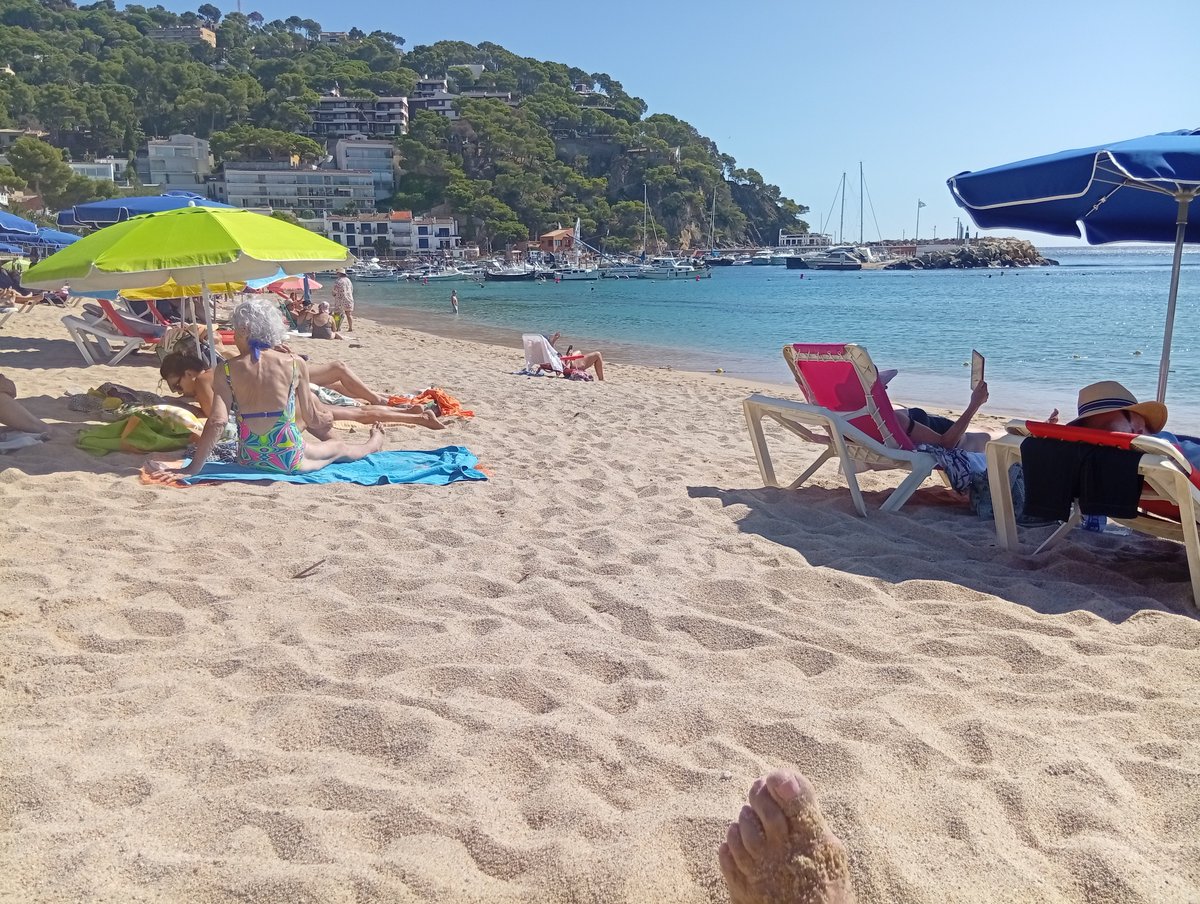 isaelster19's tweet photo. @Meryglesias Que bueno Mery. Yo hoy estuve en la Playa y comí algo allí. Maravilla de tiempo😘 https://t.co/zkNwjYNUaI