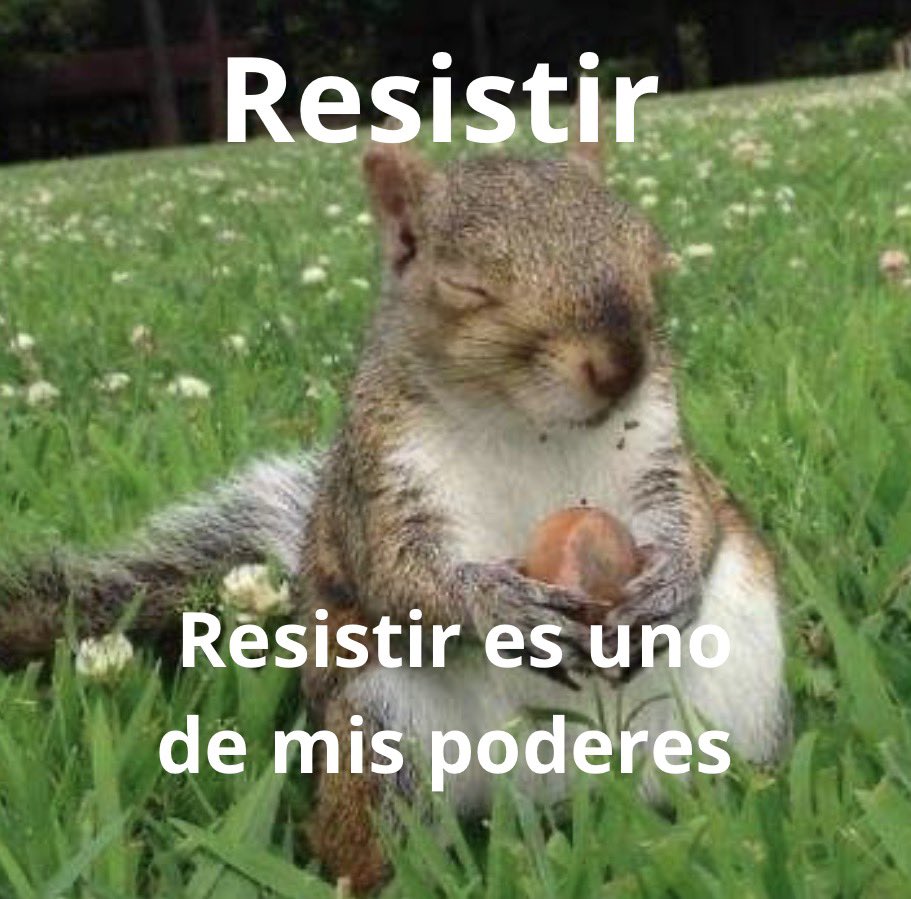 conoloracigarro's tweet photo. https://t.co/0TeXXxxTxH