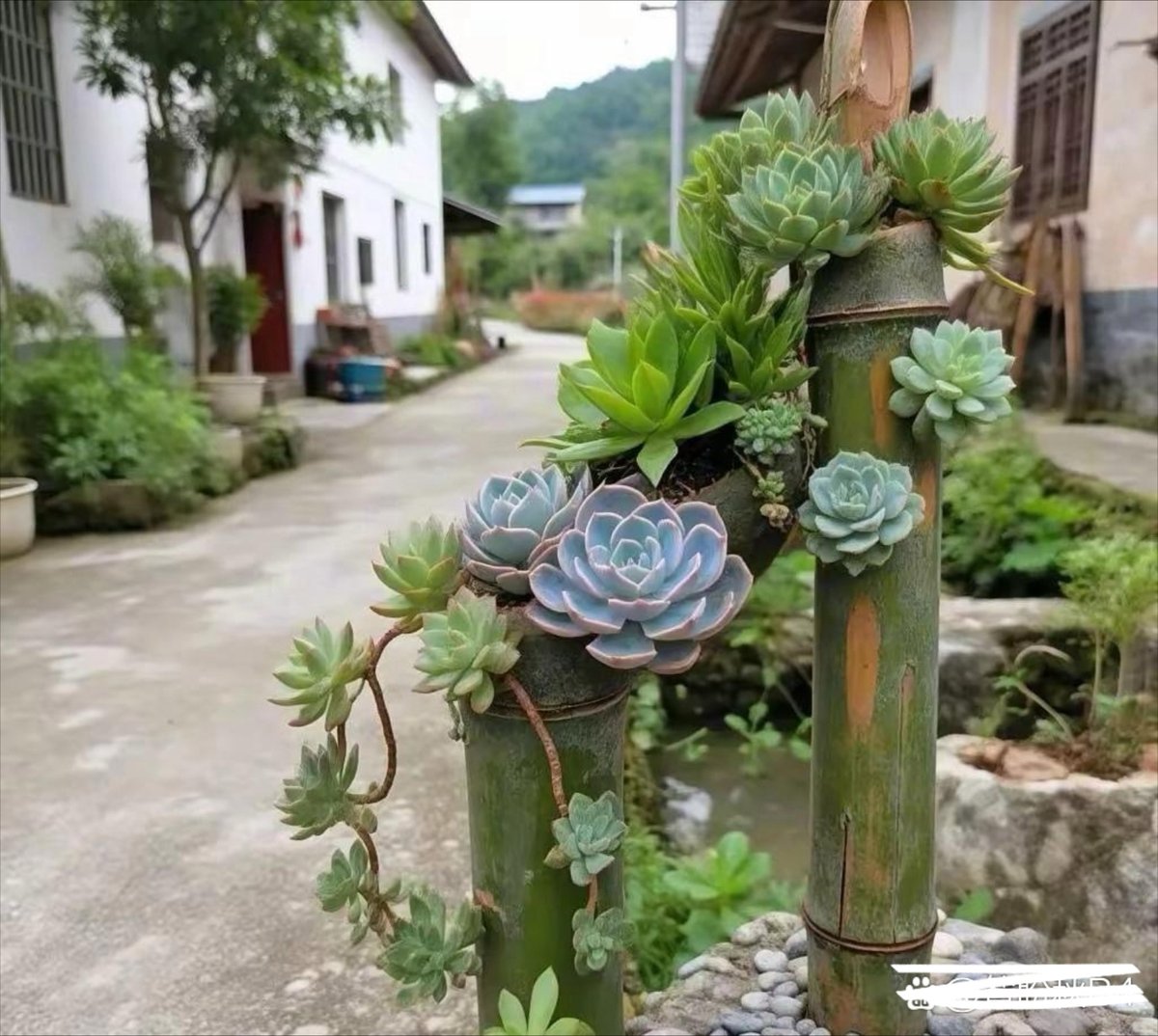 EmelineStutj's tweet photo. Mini macetas de cartón reciclado! Fáciles, bonitas y 100% eco para tus plantas de interior https://t.co/RR8SHSR4Ez