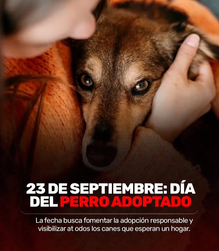 MisVaquerita32's tweet photo. DIA MUNDIAL DEL PERRO ADOPTADO 
23 DE SEPTIEMBRE https://t.co/GNOVGsUKWp