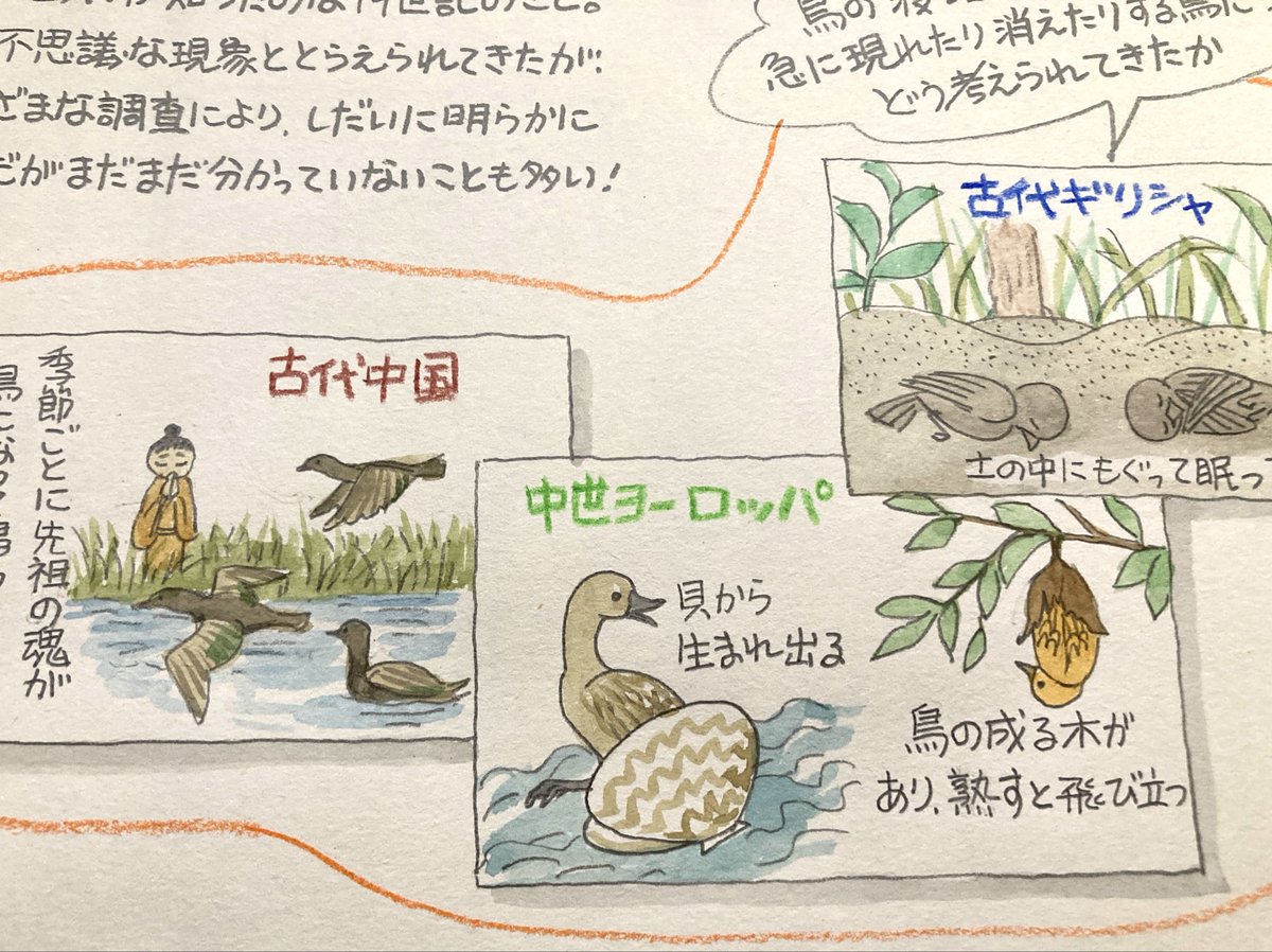 trill_yukawa's tweet photo. 鳥のお話会
「秋の鳥ものしり帖」
9/26(土)14時〜15時前後
tray（東京 参宮橋）
参加費：2,500円

Instagramのtrayアカウント @info_tray で内容をご覧になり、記載された方法にてお申し込み下さい。または私に連絡くださってもOK、trayさんにお繋ぎします。 https://t.co/aFMwyNJoDy