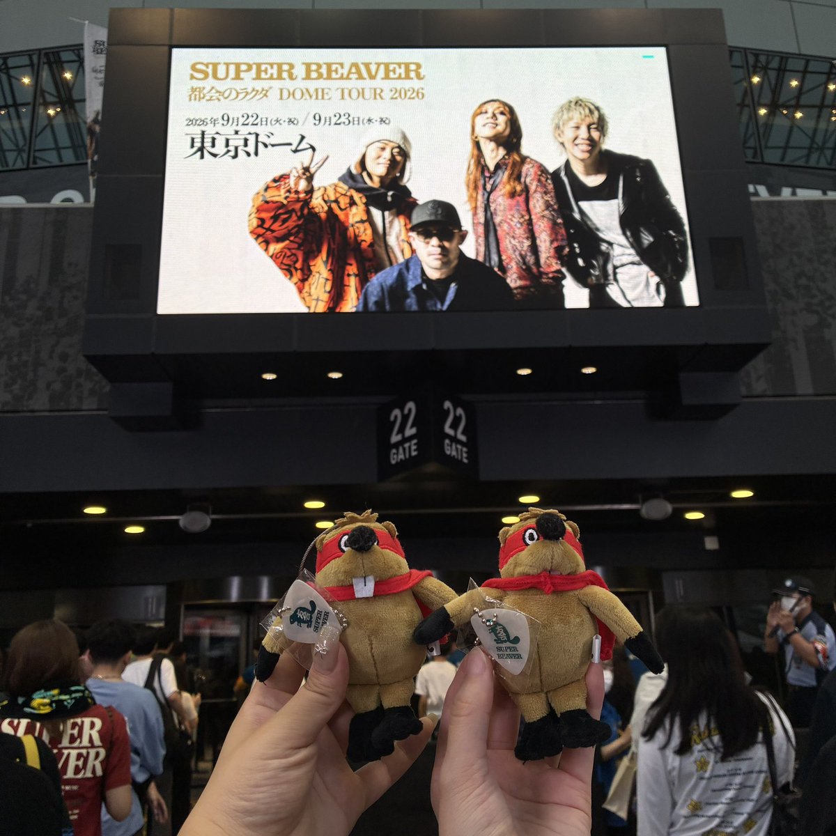 _sarabever's tweet photo. 2026.09.23
SUPER BEAVER 都会のラクダ DOME TOUR 2026 

2階席までびっしり埋まってる景色に感服したし、東京ドームも魅せられるBEAVERすげぇかった、、
改めてSUPER BEAVER最高だなと思った1日でした！
ビバ友にも沢山出会えて嬉しかった🦫🗼

#SUPERBEAVER https://t.co/xN2pS4HubU