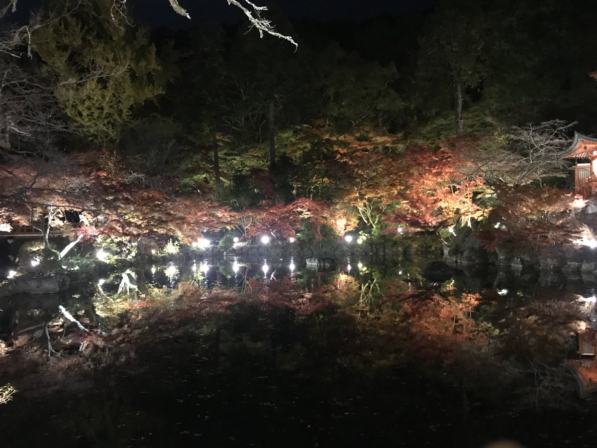 kaba11KABA's tweet photo. ちょっと調子が良くないね・・・
おやすみ！🍁 https://t.co/z8fcXzYHO0