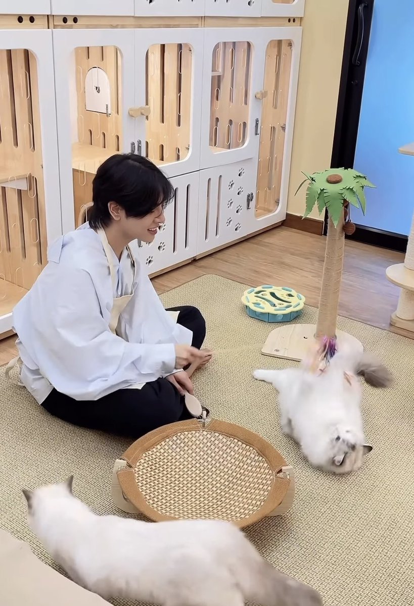 Pdapaaar's tweet photo. เอาจิงพ้มแอบอยากเห็นน้องดอกพุดลุคนี้ง่ะ🥹 https://t.co/3ImSahr2I2
