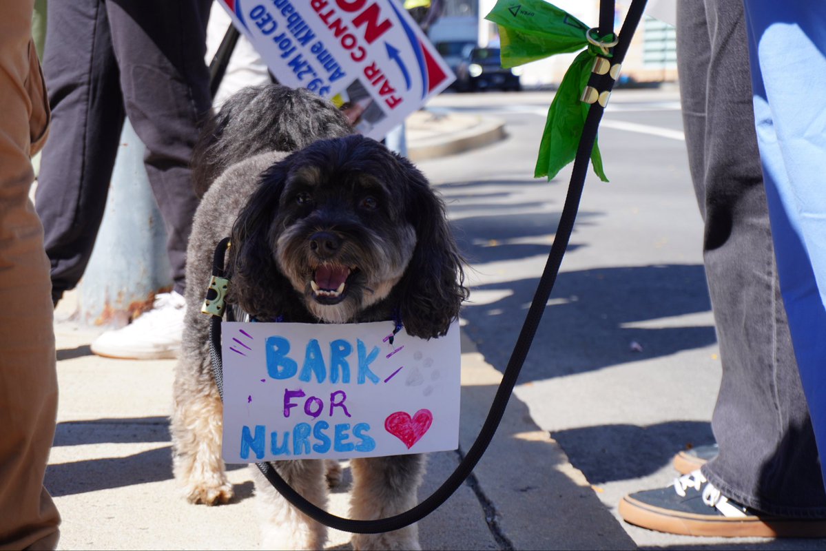 dank's tweet photo. Proud to stand with @MassNurse and the MNA Nurses of BWH.

I’ll always fight alongside you for the respect, protections, and working conditions you deserve. https://t.co/8ks5S8Ej68