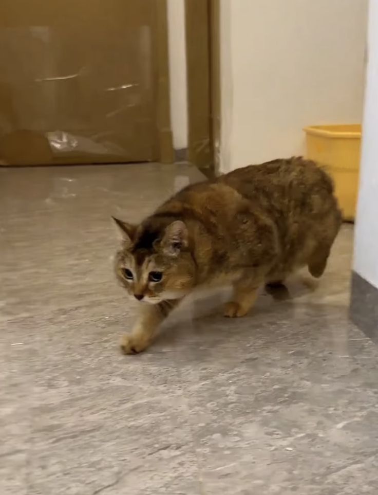 zuliexbb's tweet photo. sneaky vro, https://t.co/9D7O1dbeJY