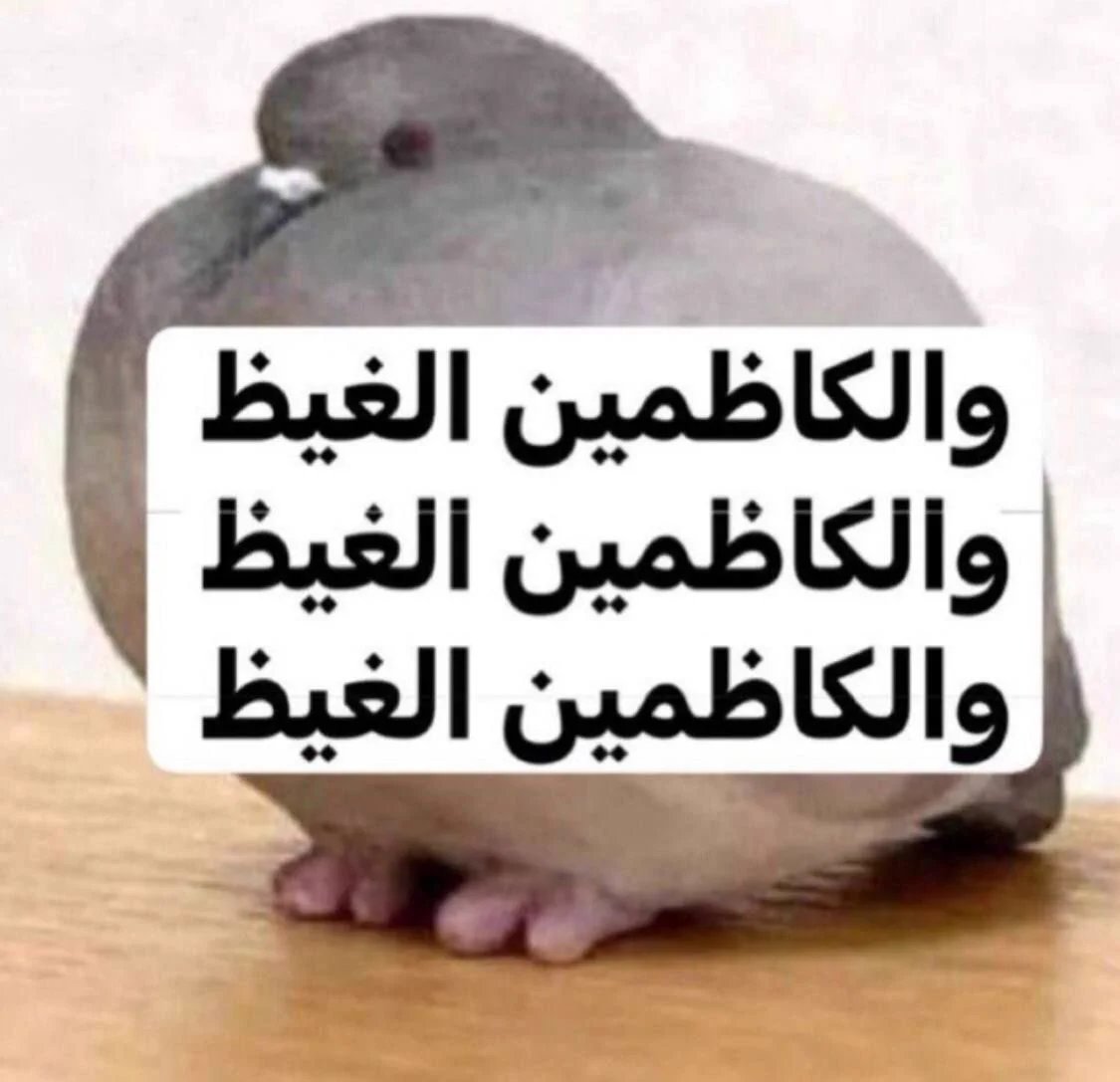 MvE_MiP's tweet photo. الكوليز مع تغريداته https://t.co/HX8lUXzEAI