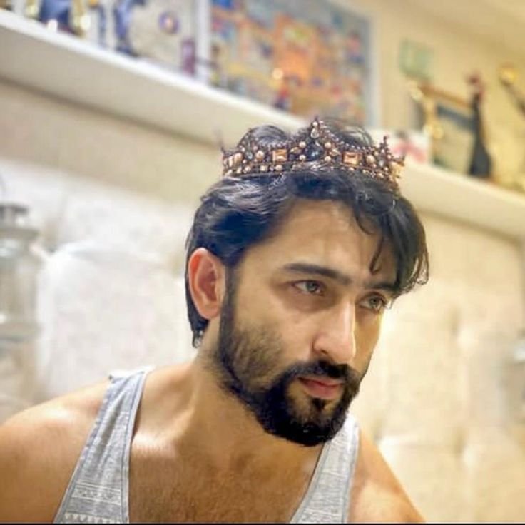 shiviyaps's tweet photo. King is KING 🧿🙇🏻‍♀️... 

Shaheer community 

#shaheersheikh https://t.co/wenMWFcSDS
