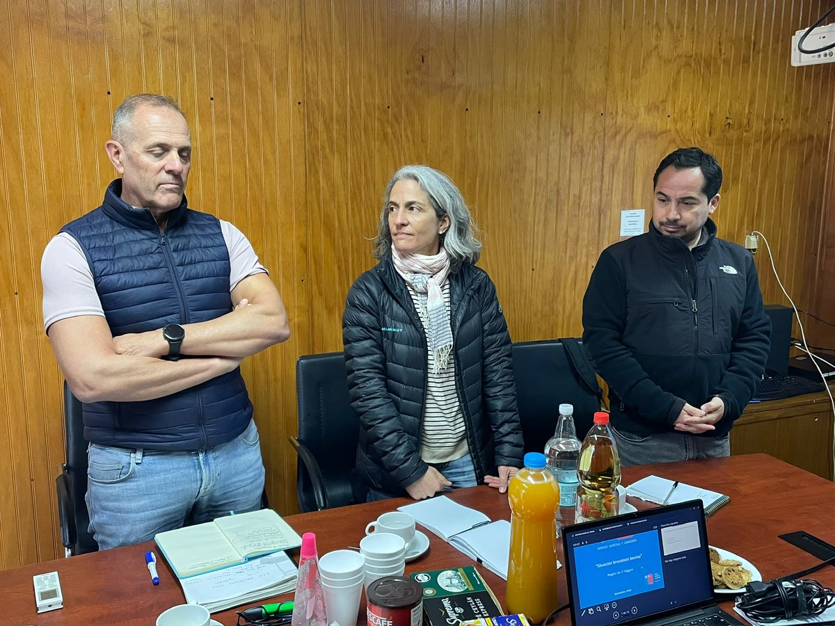 sagchile's tweet photo. Equipo de @sagchile #OHiggins recibió visita del subdirector general de Sanidad Animal, Higiene y Trazabilidad del Ministerio de Agricultura de España, José Luis Sáez, en el marco la colaboración europea y para conocer experiencia chilena en erradicación de #BrucelosisBovina. https://t.co/sq12pw2coL