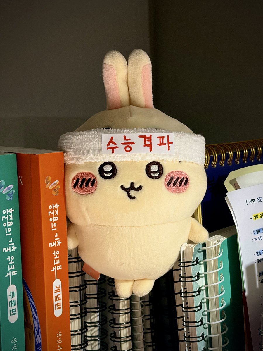 jae2su's tweet photo. 이거 본사람은 수능날 우사기가 응원해줌 https://t.co/0LN3EjzSmE