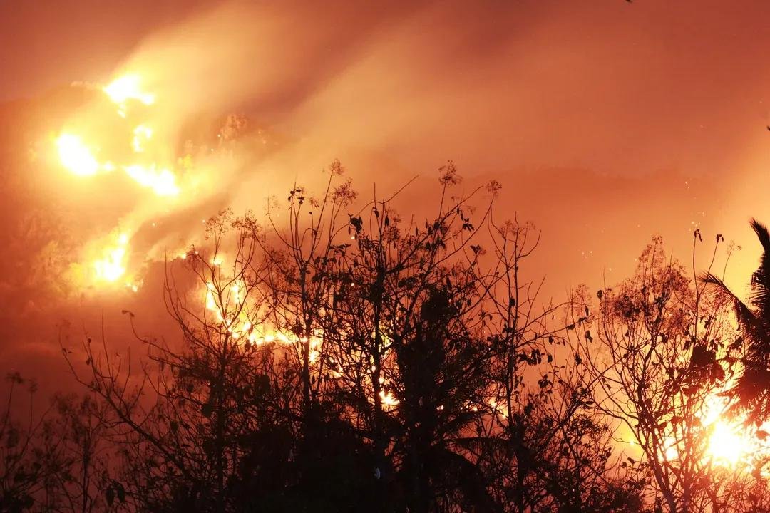 twoyulll's tweet photo. Bagi sebagian orang ini hanyalah berita
Bagi sebagian yang lain ini adalah realita yang harus mereka hadapi tiap harinya.

#KEBAKARANHUTAN #PEMBAKARANHUTANDANLAHAN 
#KALIMANTAN #KALIMANTANDIBAKAR https://t.co/cT682QUXgV