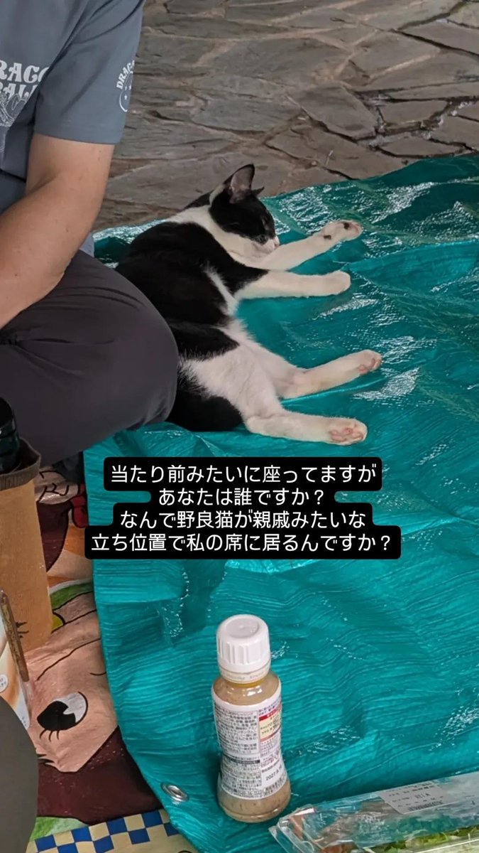adbn_00's tweet photo. 親戚集合ピクニックwith野良猫のVlogです https://t.co/hXwnwfCmPx
