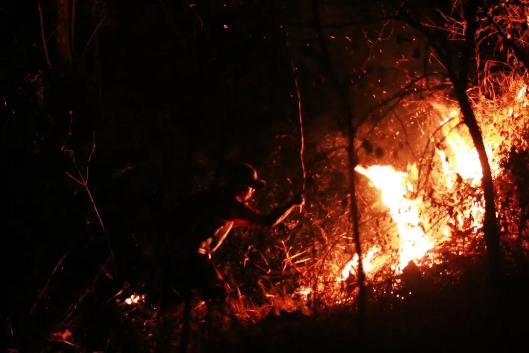 twoyulll's tweet photo. Bagi sebagian orang ini hanyalah berita
Bagi sebagian yang lain ini adalah realita yang harus mereka hadapi tiap harinya.

#KEBAKARANHUTAN #PEMBAKARANHUTANDANLAHAN 
#KALIMANTAN #KALIMANTANDIBAKAR https://t.co/cT682QUXgV