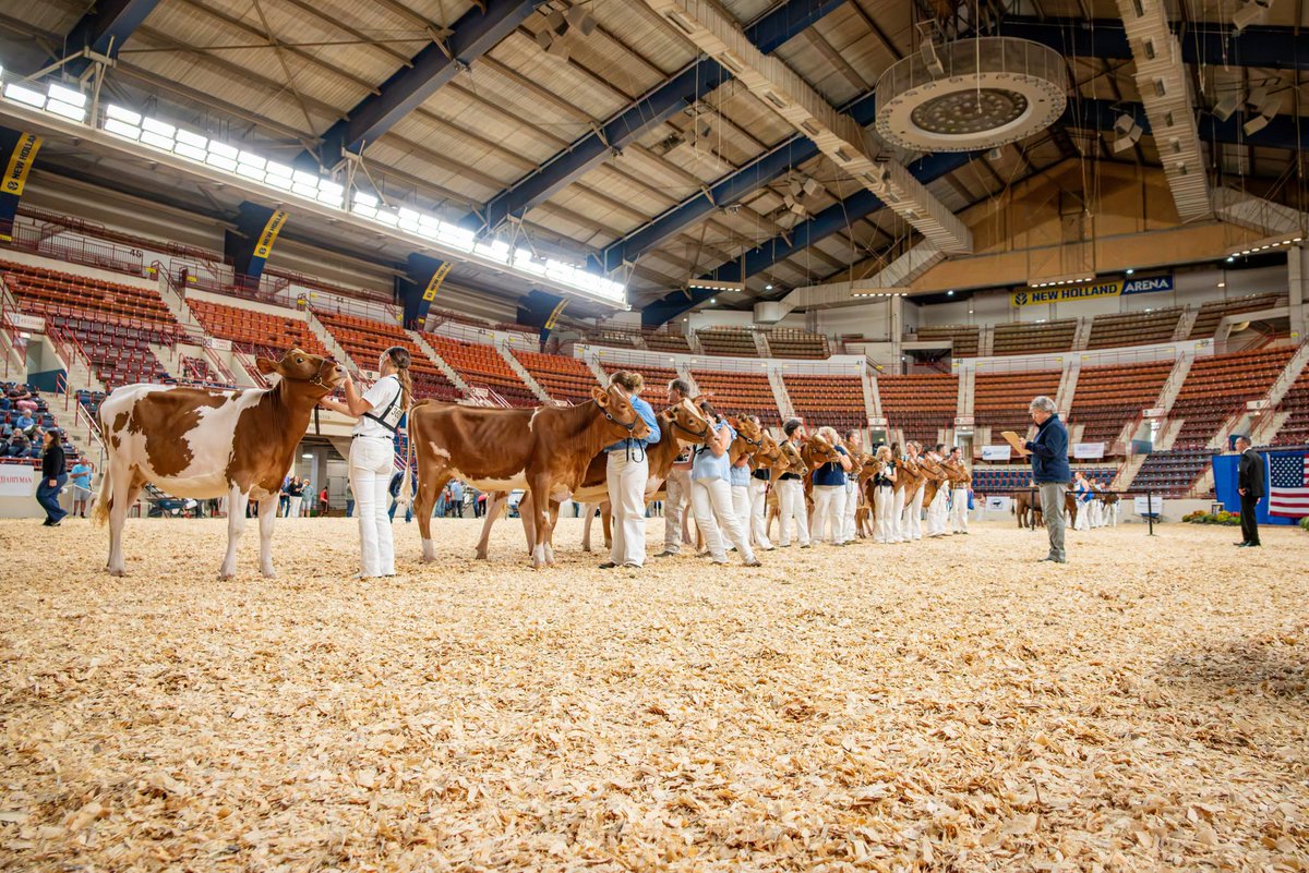 FarmShowComplex tweet picture