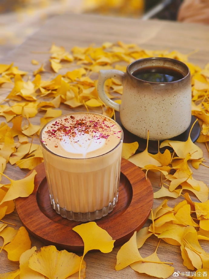 TovaBiederman's tweet photo. El otoo trae hojas doradas y café caliente! https://t.co/8YPNXHi1UJ