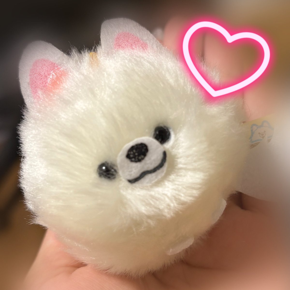 Xramune_chanX's tweet photo. 白ポメかと思ったらサモエドちゃんだった( ͜◓ ･ω･) ͜◓゛ https://t.co/zfcOH0ORgm