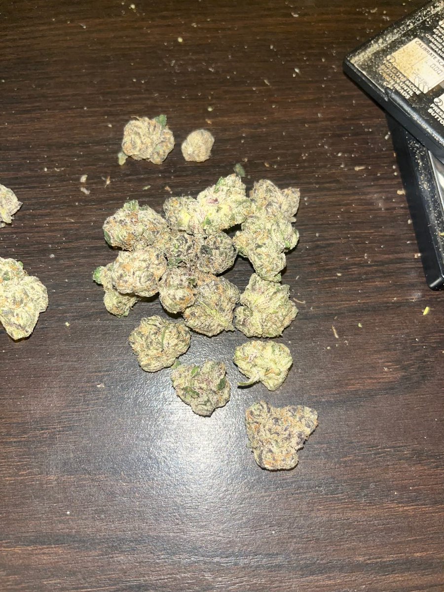 JTSTONERS's tweet photo. It was great
Item type:
Quarter Pound / Biscotti

#canada #ontario #cannabis #canadian
#cannabis #cannabiscommunity #banprohibition  #legalisecannabis #decriminalisecannabis #freedom #freetheleaf #LCUK https://t.co/LvWw46Fbkr