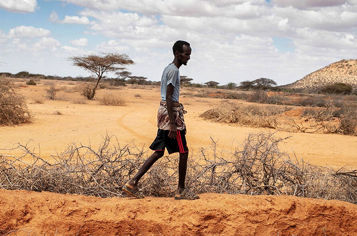 FAOSomalia's tweet photo. 🚨 Somalia #IPC Alert: 5.4M people projected to face IPC Phase 3 or above from Oct–Dec. Rural areas carry nearly two-thirds of the 1.92 million malnutrition burden, as floods threaten crops &amp; livestock. Early action is vital to protect lives &amp; livelihoods.
https://t.co/0xYHBkQZnI https://t.co/5n45ucdrdg