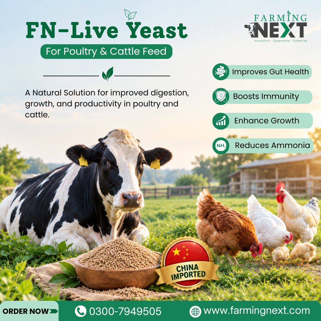 farmingnext555's tweet photo. 𝐅𝐍-𝐋𝐢𝐯𝐞 𝐘𝐞𝐚𝐬𝐭 𝐢𝐬 𝐍𝐎𝐖 𝐀𝐕𝐀𝐈𝐋𝐀𝐁𝐋𝐄 𝐚𝐭 𝐅𝐚𝐫𝐦𝐢𝐧𝐠 𝐍𝐞𝐱𝐭!
𝐈𝐦𝐩𝐨𝐫𝐭𝐞𝐝 𝐟𝐫𝐨𝐦 𝐂𝐡𝐢𝐧𝐚 📷 | 𝐐𝐮𝐚𝐥𝐢𝐭𝐲 𝐋𝐢𝐯𝐞 𝐘𝐞𝐚𝐬𝐭
𝐅𝐨𝐫 𝐎𝐫𝐝𝐞𝐫𝐬 &amp; 𝐃𝐞𝐭𝐚𝐢𝐥𝐬: 𝟎𝟑𝟎𝟎-𝟕𝟗𝟒𝟗𝟓𝟎𝟓
#liveyeast #farmingnext #liveyeast #poultryfeed https://t.co/mzJV9B7H6R