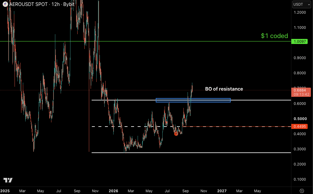 CastilloTrading tweet picture