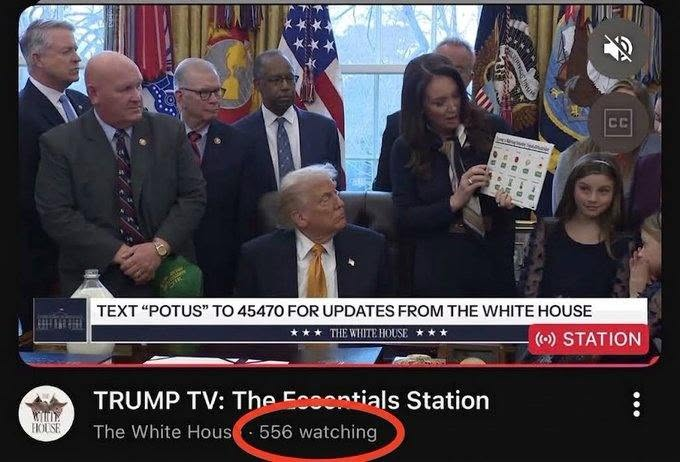 ImBreckWorsham's tweet photo. Only 556 people watching Trump TV out of a nation of 341.8 million Americans.   

I love that for him. https://t.co/lBQ6xUrDeZ