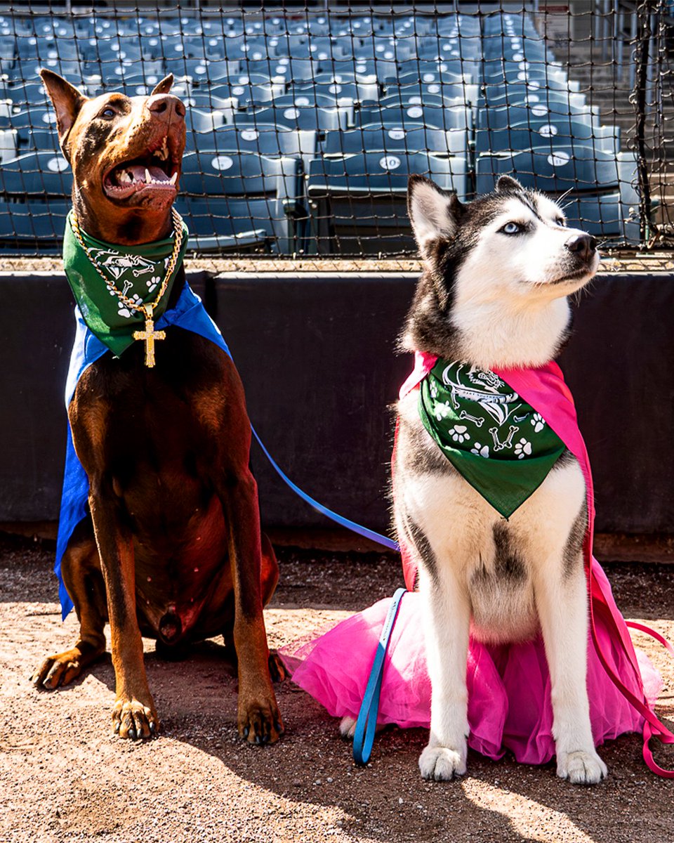 railcats's tweet photo. We're still missing all of our RailCats fans 😭 but we love thinking about all of the fun we had at the stadium this year 😻

What was your favorite giveaway of 2026? Let us know in the comments! https://t.co/nPo0KP0kJf