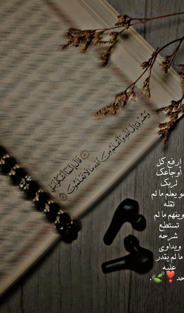 SARAH_KSA_44's tweet photo. #صباح_الخير_والسعاده ✨ https://t.co/FUusFGLmF8