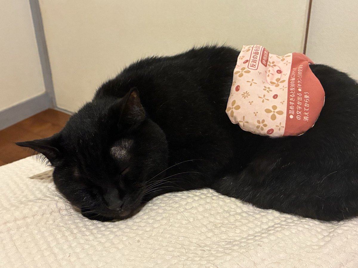 ShawToRoma's tweet photo. どうも消化不良で吐くようなので、小豆のチカラというホットアイマスクで胃の辺りをあっためちゅう。　#アメリ https://t.co/sfvhwhODL3