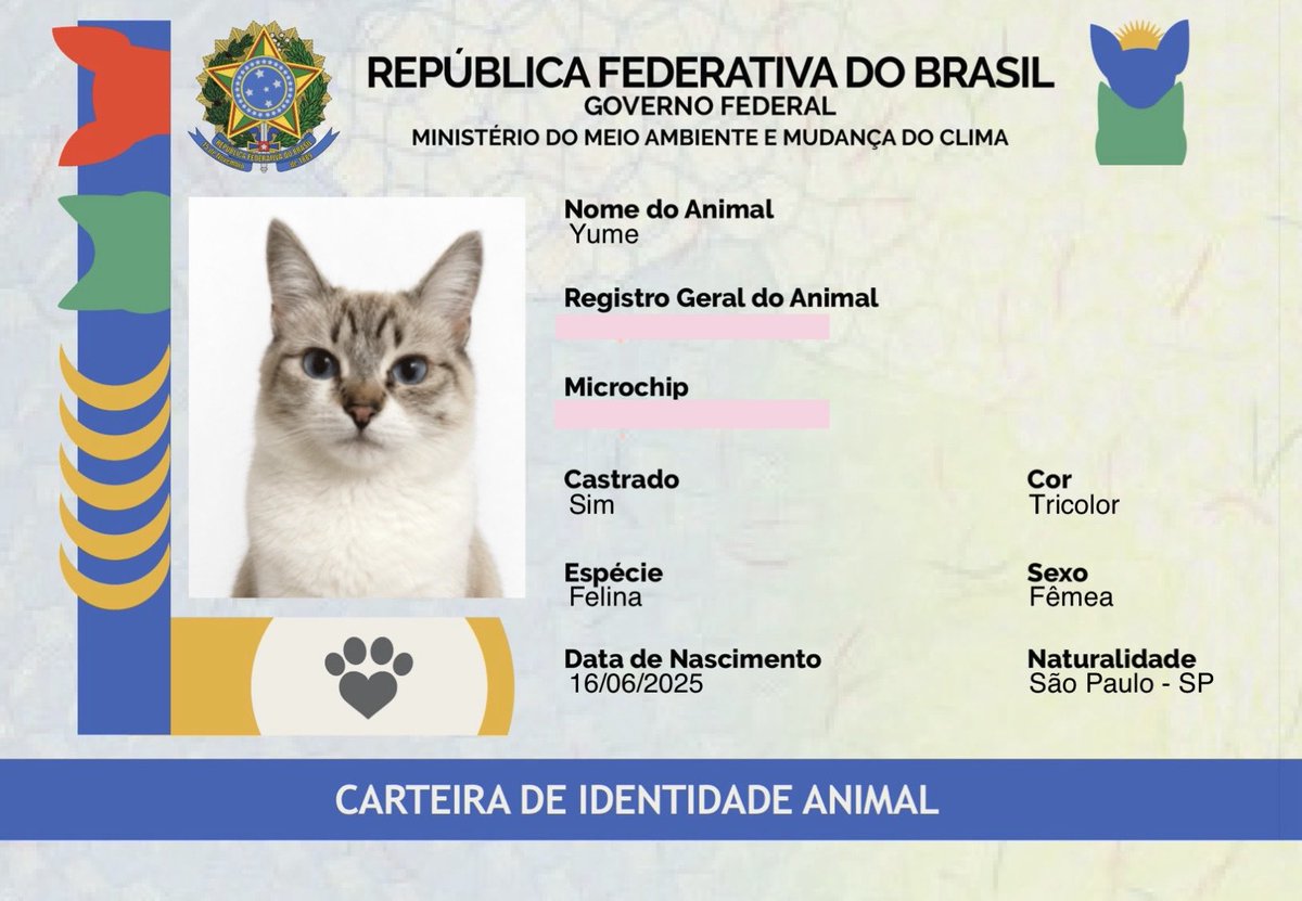jadebrasilh's tweet photo. meu momento, eu fiz foto de RG pro sinpatinha das minhas, sou obcecada https://t.co/sHb9bvqdlO