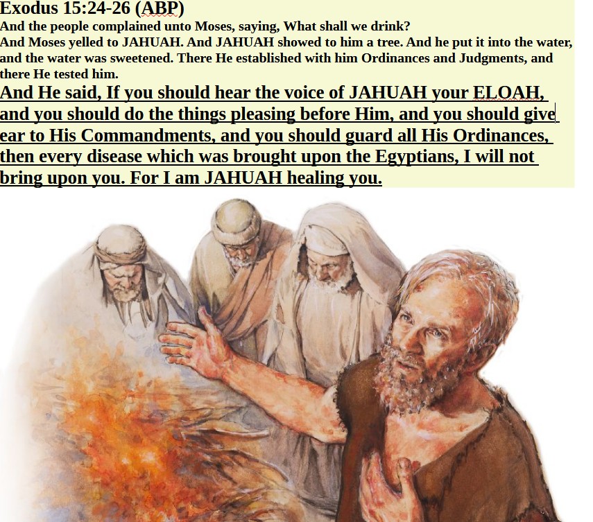KephaRyan's tweet photo. The Priestly blessing, Numbers 6:23-27

Tell Aaron and his sons, This is how you are to bless the Israelites. Say to them: JAHUAH bless you and keep you; JAHUAH make His face shine on you and be gracious to you; JAHUAH turn His face toward you and give you peace. https://t.co/MsHh7gyZYx