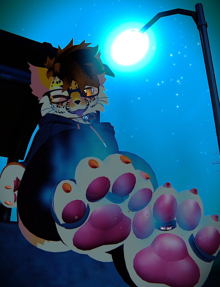 MsxNdz96159's tweet photo. Wanna sniff my paws while we wait for the bus? https://t.co/X6xFjZ9xO1