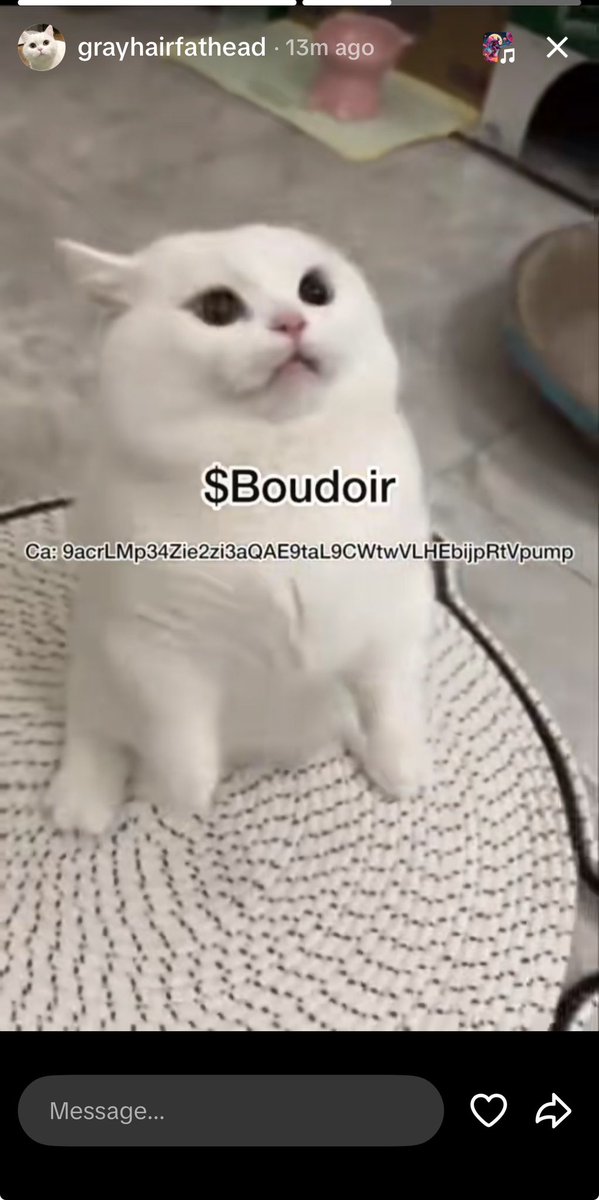 jacktheripvyc's tweet photo. @JR5_Crypto Bid
$Boudoir 
Ca: 9acrLMp34Zie2zi3aQAE9taL9CWtwVLHEbijpRtVpump https://t.co/Fdnce20nNB