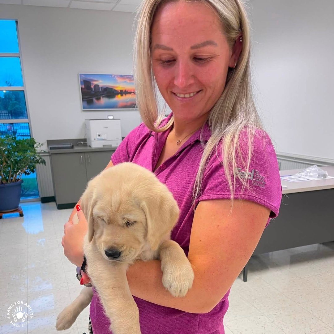 4PawsForAbility's tweet photo. Thank you, FedEx! 💜🧡 When our local FedEx branch asked if we could deliver smiles to their office, they returned the favor by giving our pups something to smile about.

Please comment a HUGE "thank you" to our friends at FedEx Miamisburg! 👇 https://t.co/zAGsVx1kyE