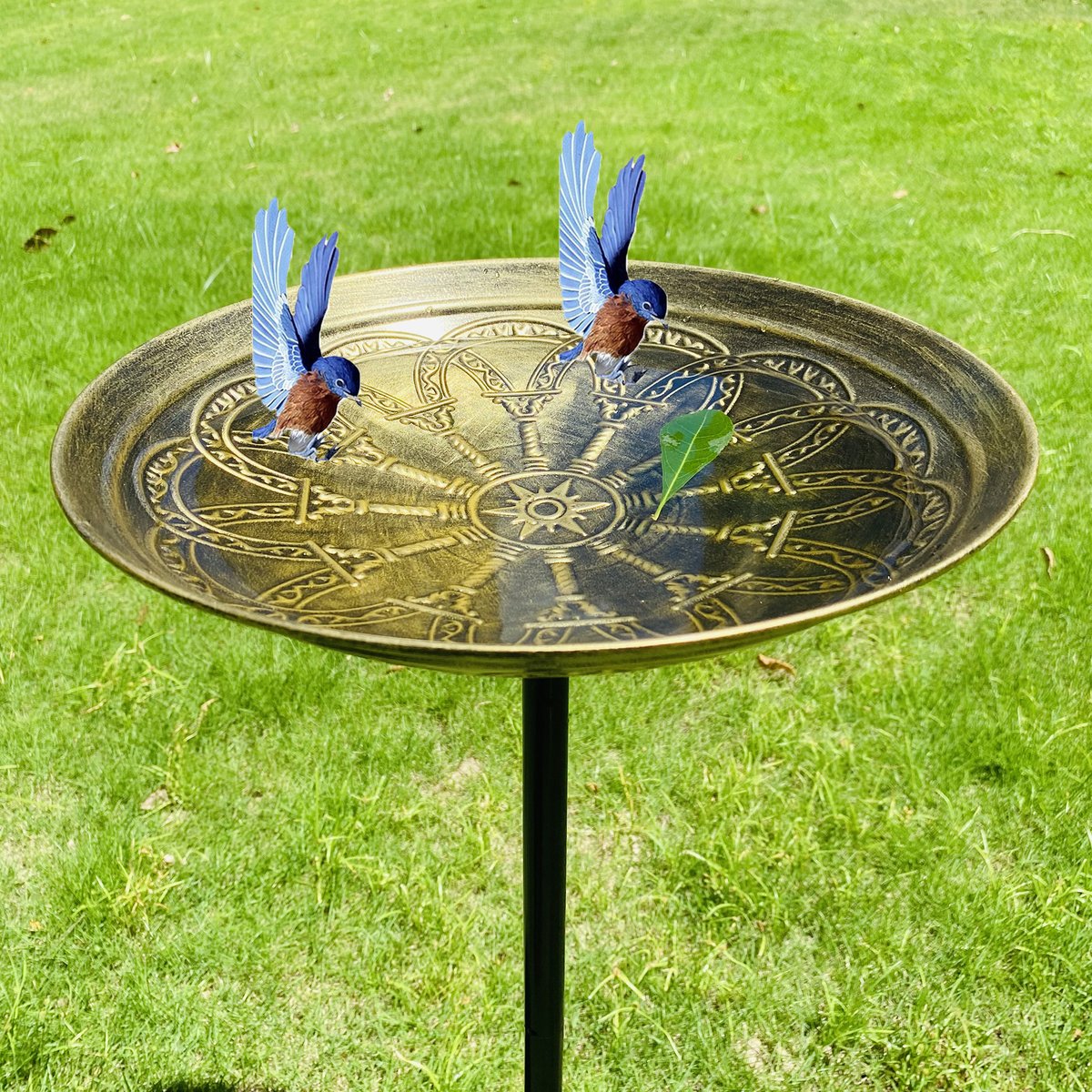 woertehome's tweet photo. Outdoor Rust-Proof Metal Bird Drinking Fountain. MOQ 100, FOB $18.99.

#MetalBirdFountain #RustProofGardenDecor #BirdDrinkingFountain #OutdoorGardenDecor #GardenBirdBath #RedBronzeDecor #ChristmasGardenDecor #WholesaleGardenOrnaments https://t.co/y09kcrYe2Q