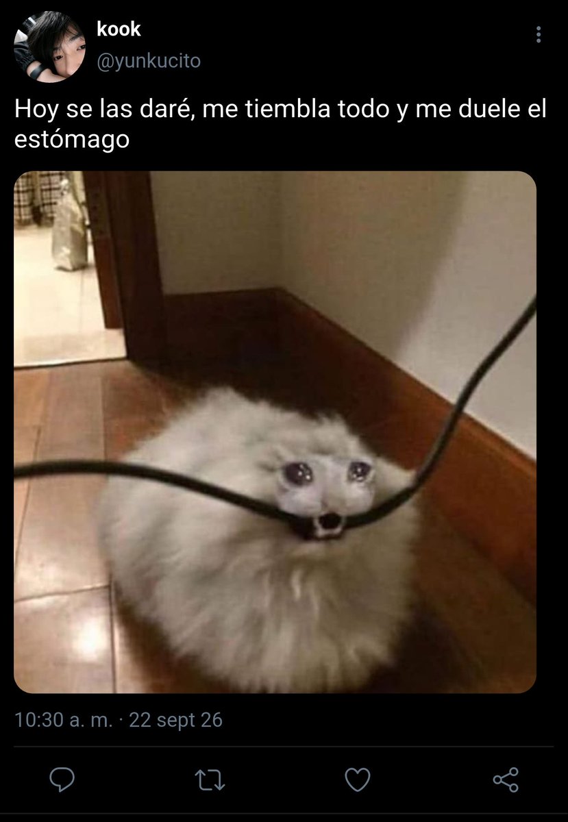 BtsMyGuys's tweet photo. Mini mini au #kookminau #kookmin

Donde 🐥 ve a su novio darle flores amarillas a otra persona...

O donde 🐰 está apunto de declararse con un lindo ramo a su crush. https://t.co/Zi5N08fsCT