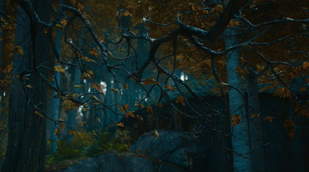 nonathefate's tweet photo. Closer and closer to going home 🍂 49 days 🍂 https://t.co/eu7C9FWHFy