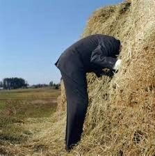 soohunniie's tweet photo. how it feels trying to search for stuff make OMAD that has less the 50g carbs to reach kitosis when the only thing in the house is ramen and beef stew #edrtwt #edtwt https://t.co/jWZ06ko7W2