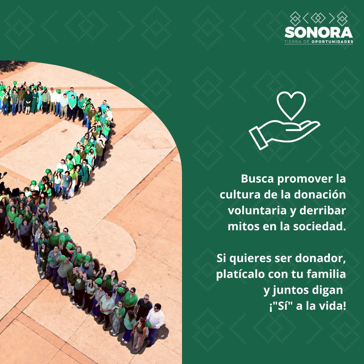 IssstesonGob's tweet photo. ℹ️ En #ISSSTESON ✅ nos sumamos a la promoción e información por el Día Nacional de la donación de órganos y tejidos 🫁 del próximo 26 de septiembre y como parte de ese compromiso, elaboramos un moño verde humano con la participación de nuestro personal💚 y apoyo del @ceestrason. https://t.co/HqXUrgIB6q