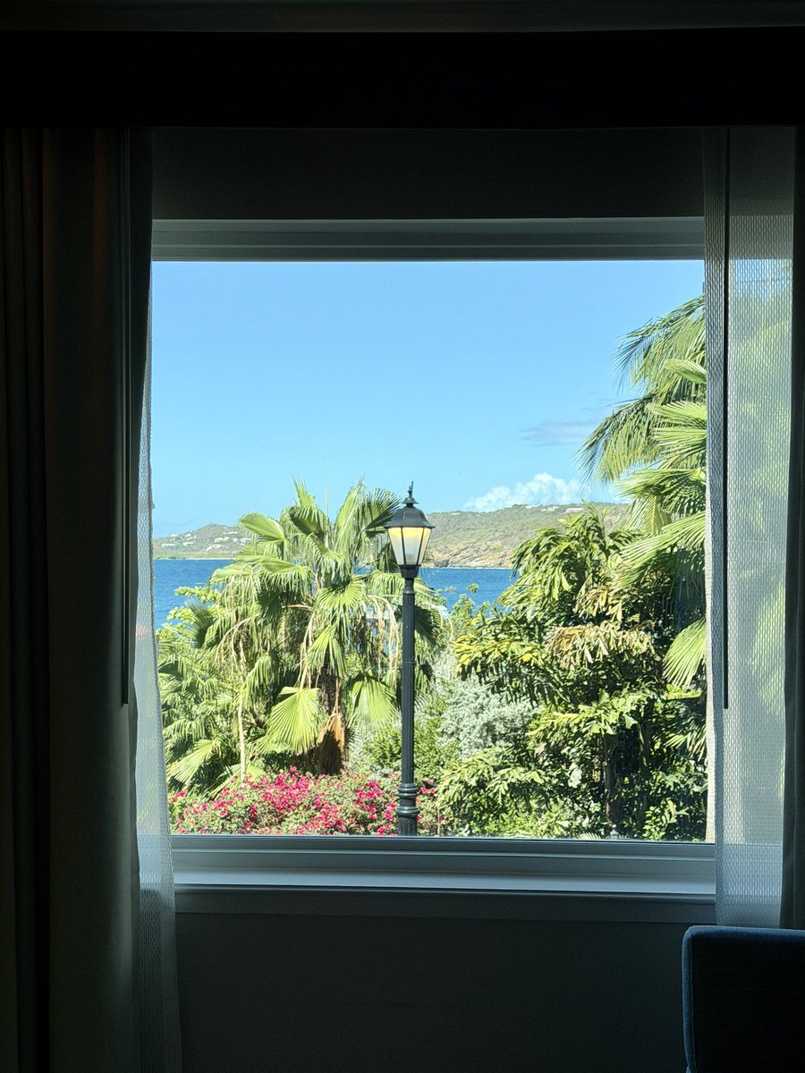 PatriciaSchaefR's tweet photo. #LaVida está llena de momentos con los que podemos crear bellos recuerdos. ¡Feliz miércoles! ❤️ #paz #vida #caribe #antillas #saintthomas #momentos #recuerdos #salud #felicidad #respeto #fe https://t.co/QVasdw64Db