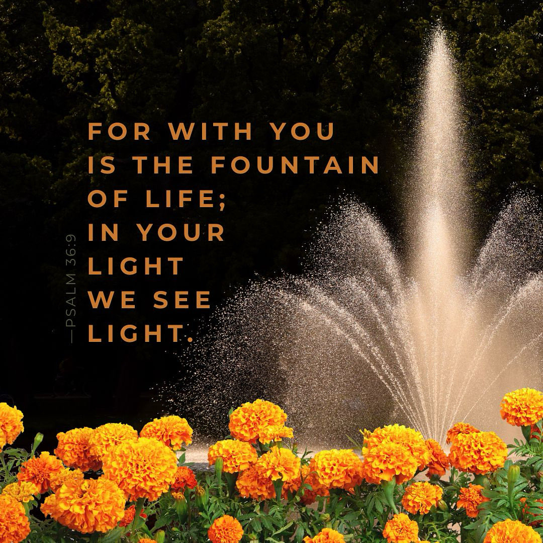 MorningStarILM's tweet photo. #Jesus #life #light #fountain https://t.co/LDqWA2pTGk