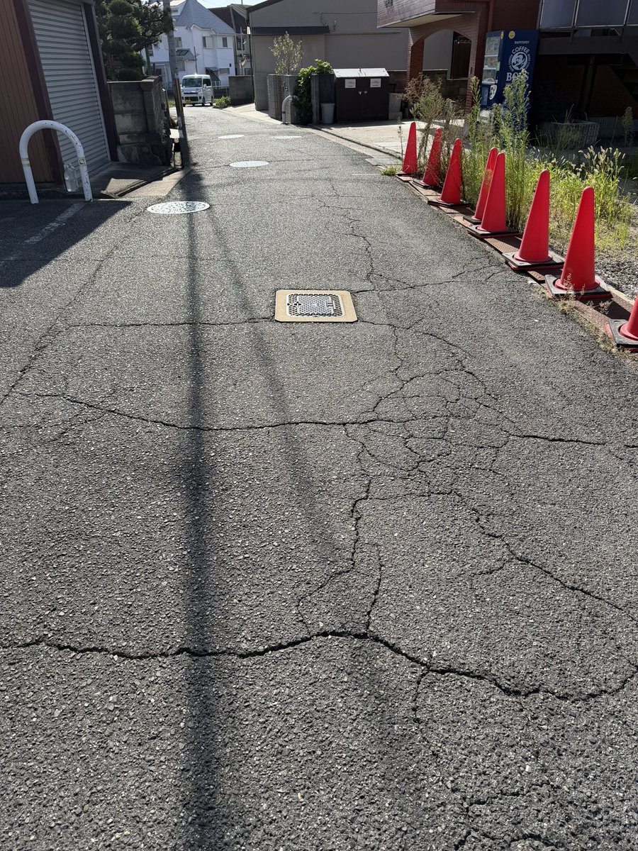 CpYukie's tweet photo. 昨日も地域ご挨拶まわり

ラッシュ時の抜け道で
交通量の多い路地が
ひび割れしていると
近隣の方からご相談がありました
車で通っても気づかない事
歩くとよくわかります…
引き続き歩いて回ります☺️

ご挨拶に伺った仏具店で
#堺の線香 を
最後にいつもの吉田丸さんで
#たこ焼き を
お買いもの…😊

今日は #お彼岸 のお墓まいり
父方母方の祖父母に
手を合わせながら日々の感謝
#堺の線香 #白檀 の
良い香りに包まれました…