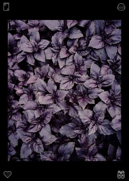 thatblackgener1's tweet photo. 🐚Steps take you closer to your dreams.Elias nodded, his eyes warm. “That’s a beautiful dream. I want to be a photographer, specializing in flowers and people—capturing the way flowers make us feel, the stories they tell. Maybe we can work together someday.” https://t.co/7Nd2q6fnVt