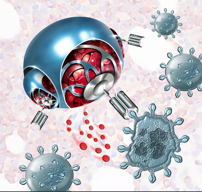 Blood Cancer Discovery (@BCD_AACR) — #IMS26 — conference slide