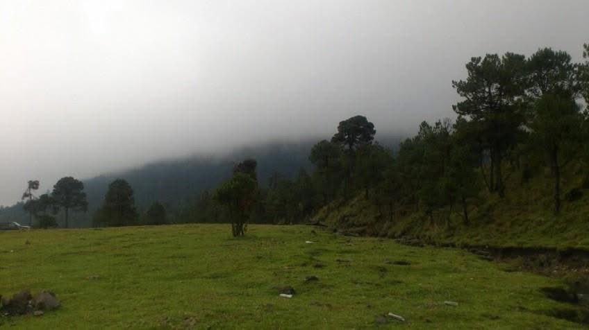 SECTUR_mx's tweet photo. ¡Celebramos el aniversario de la declaración del Parque Nacional Cumbres del Ajusco! 🏞️🎉

Desde 1936, este majestuoso parque en la #CiudadDeMéxico ha sido un pulmón verde que invita a la aventura y el contacto con la naturaleza. Con sus impresionantes montañas y paisajes, es el destino perfecto para los amantes del senderismo, el ciclismo y las vistas panorámicas. Cuenta con especies de pino y encino, y pastizales que le dan una gran belleza y valor ecológico. 🚵‍♂️🌄🌿

Tiene una superficie de 920 hectáreas y fue decretado por la necesidad de proteger su riqueza natural. 🌳