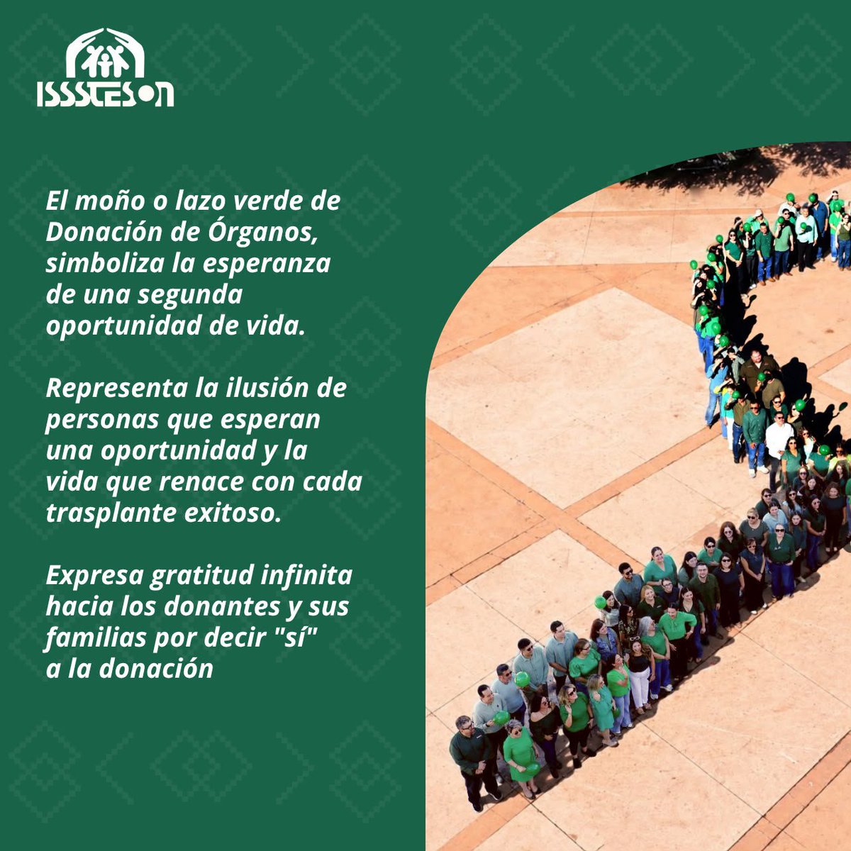 IssstesonGob's tweet photo. ℹ️ En #ISSSTESON ✅ nos sumamos a la promoción e información por el Día Nacional de la donación de órganos y tejidos 🫁 del próximo 26 de septiembre y como parte de ese compromiso, elaboramos un moño verde humano con la participación de nuestro personal💚 y apoyo del @ceestrason. https://t.co/HqXUrgIB6q