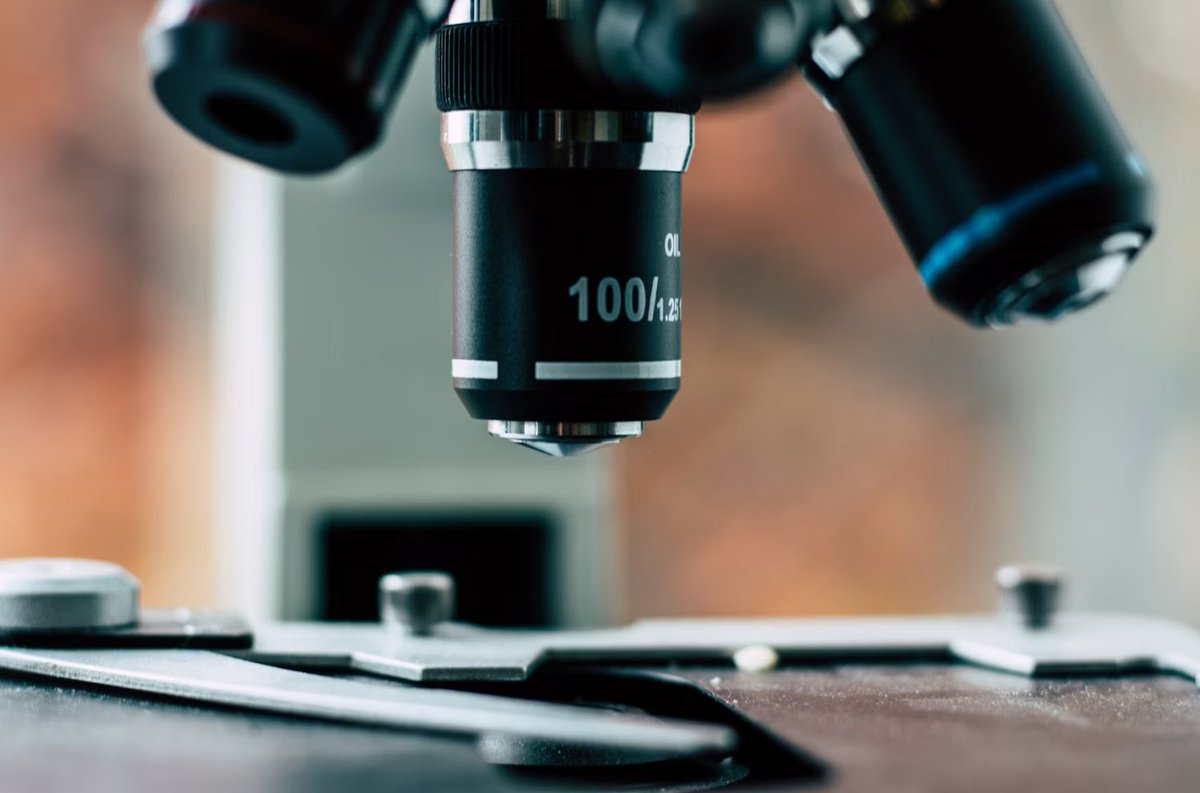StainsFile's tweet photo. 🧠 The #BloodBrainBarrier poses unique challenges for #histotechnology.

New research proposes an innovative histological workflow that enhances how researchers evaluate probe penetration and brain pathology. Learn more: https://t.co/iucgn3KoU7 https://t.co/MJhu0iHceH