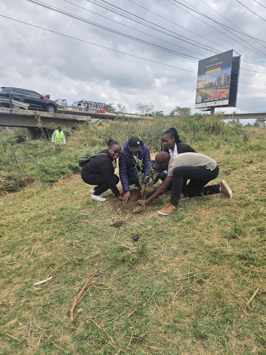 TardaKE's tweet photo. 2:River restoration cannot wait for the river to fail.
Every tree rooted along the Athi is a step towards stronger riverbanks, healthier ecosystems &amp; a more resilient basin.
Restore the river. Restore the future.
#TARDAAt52 #RiverRestoration #ClimateResilience #OurBasinsOurFuture https://t.co/iUknZ6rmgD