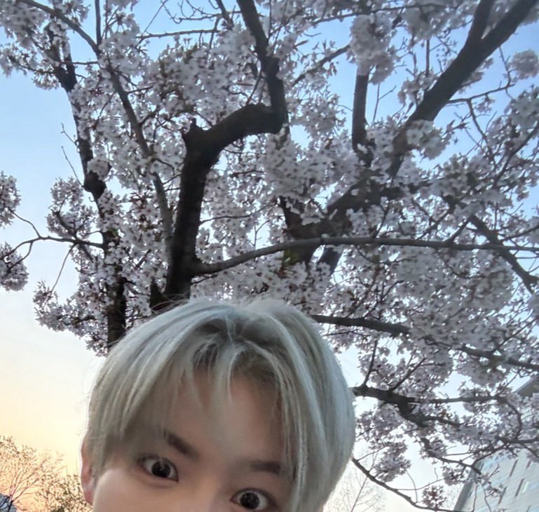 phen0meno3n's tweet photo. #위플립트친소 
민제얘기할사람💧💧
고딩입니드 https://t.co/2EuBu0x6IE