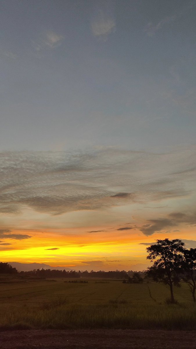KcSabbu's tweet photo. The evening sky carries the colors of peace.”

#sunset#dang https://t.co/AU04ABl53K